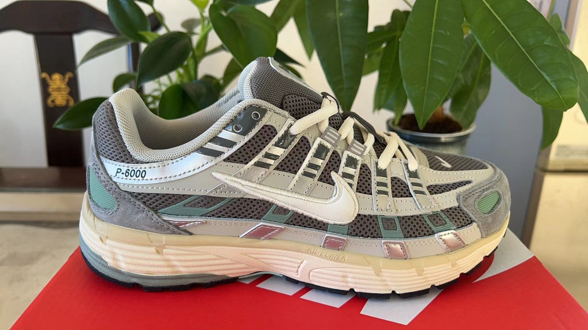 Nike P-6000 Trainers FN7509-029 Grey Multi-Color - product image from the listing.