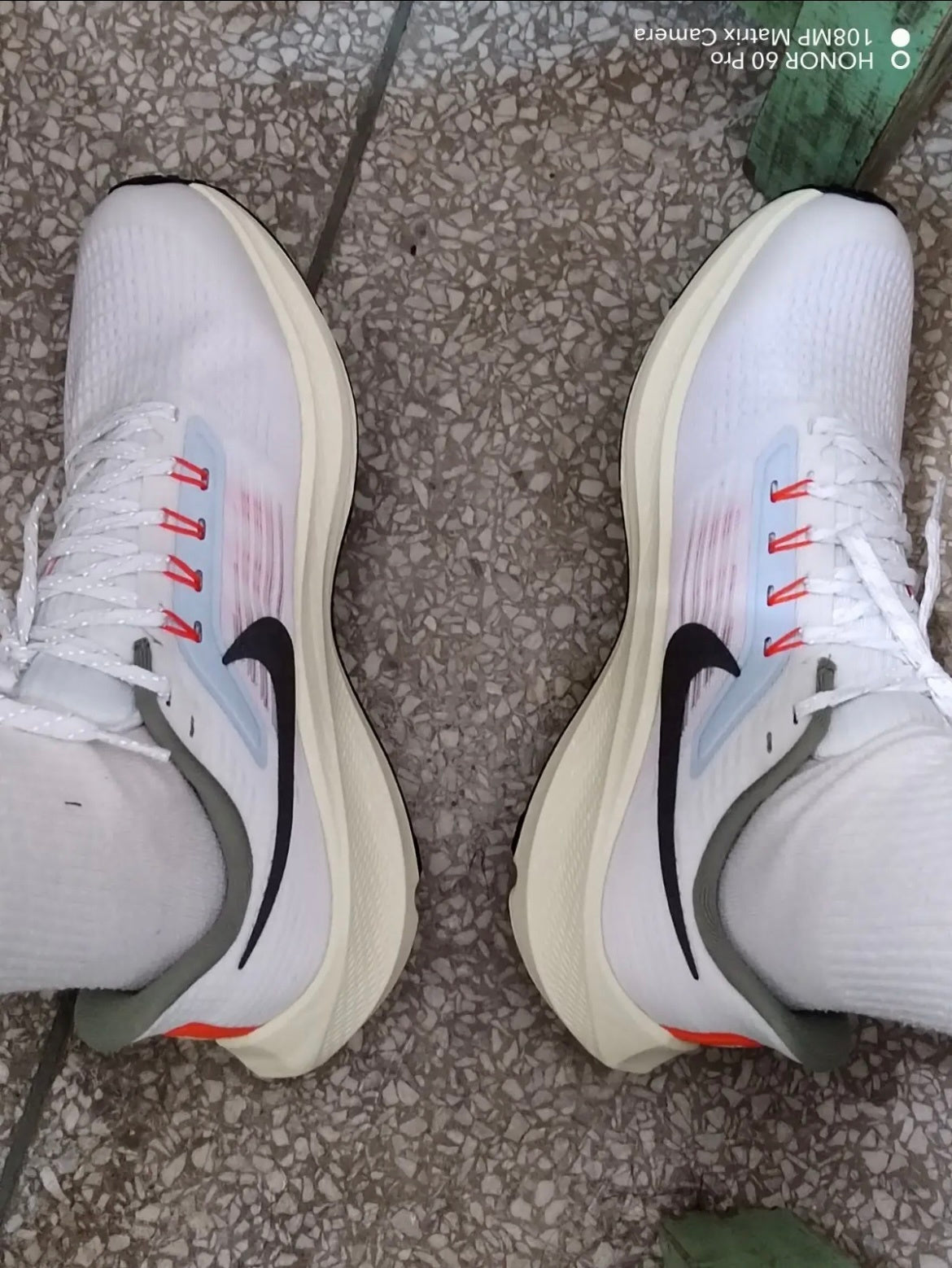 Nike Air Zoom Pegasus 39 Shoes for Running DX6050-101 - product image from the listing.
