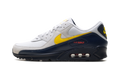 "Neutral Grey Tour Yellow" Air Max 90 IF0670 001 - product image from the listing.