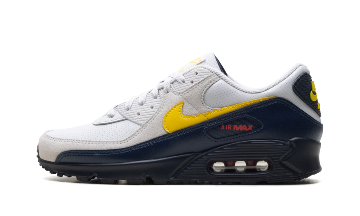 "Neutral Grey Tour Yellow" Air Max 90 IF0670 001 - product image from the listing.