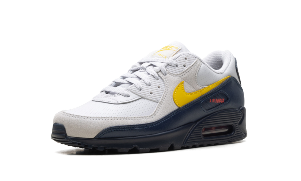 "Neutral Grey Tour Yellow" Air Max 90 IF0670 001 - product image from the listing.