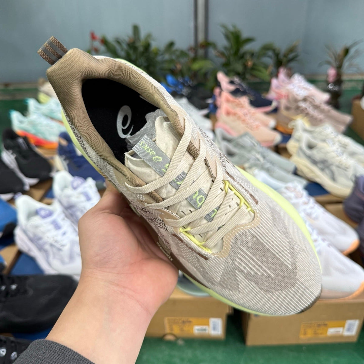 ASICS NOVABLAST 5 LE Running Shoes in Beige Grey Brown - product image from the listing.