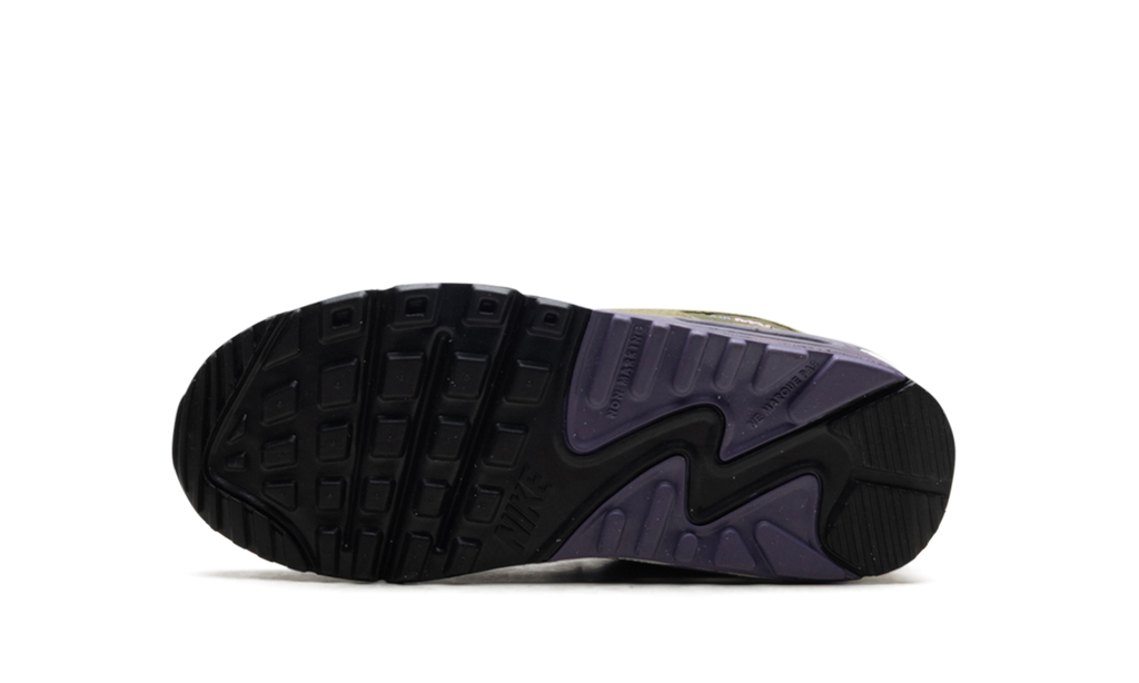 "Purple" AIR MAX 90 DX3091-001 - product image from the listing.