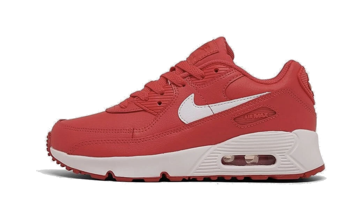 "Track Red White Mystic Red" AIR MAX 90 LEATHER PS DV3608 600 - product image from the listing.