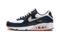 "Navy / Crimson" Air Max 90 DM0029 400 - product image from the listing.
