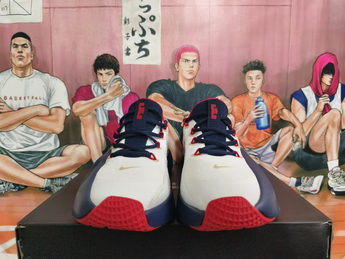 Nike Basketball Shoes, USA Team Colorway, in White Navy Red - product image from the listing.
