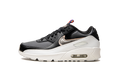 "Off Noir Metallic Pewter" Air Max 90 LTR GS DJ0414 001 - product image from the listing.