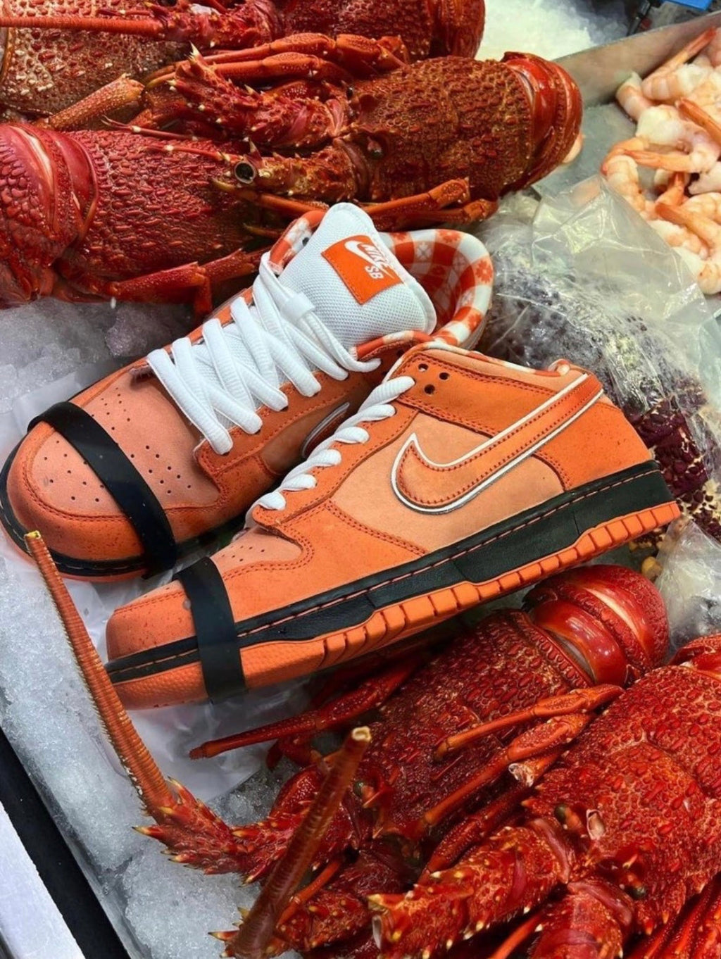 SB Dunk Low Orange Lobster FD8776-800 by Nike - product image from the listing.