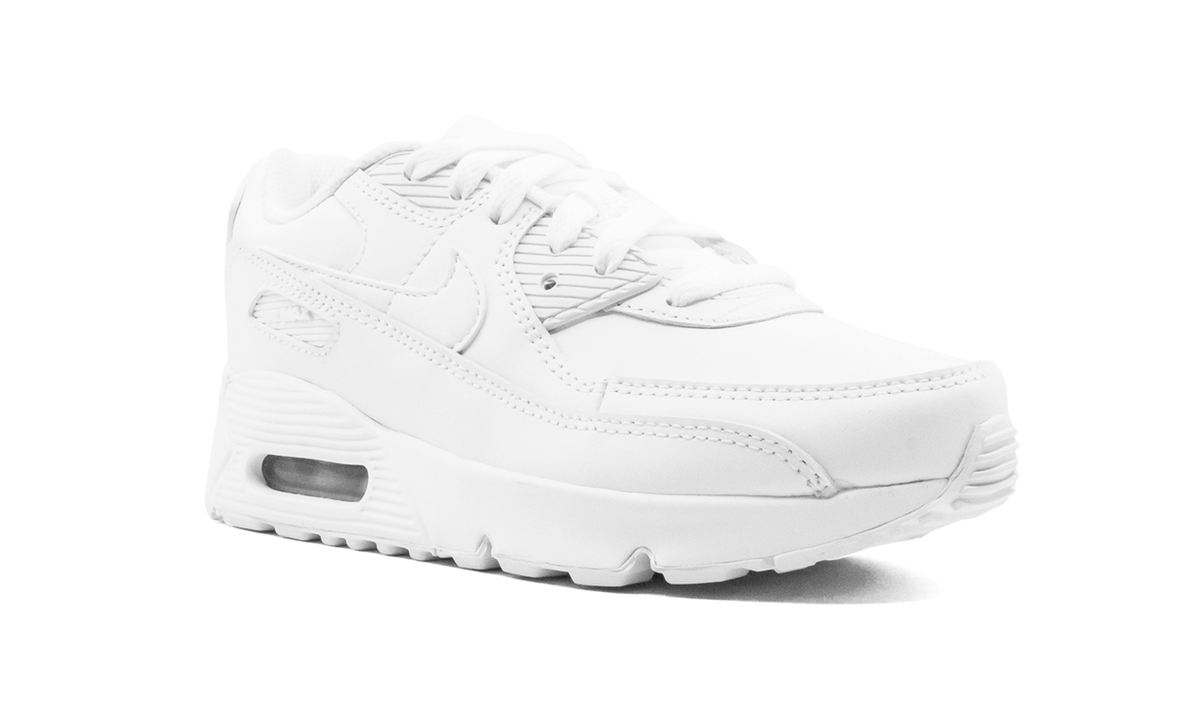 CD6867 100 - Air Max 90 - product photo shown in the listing for this item.