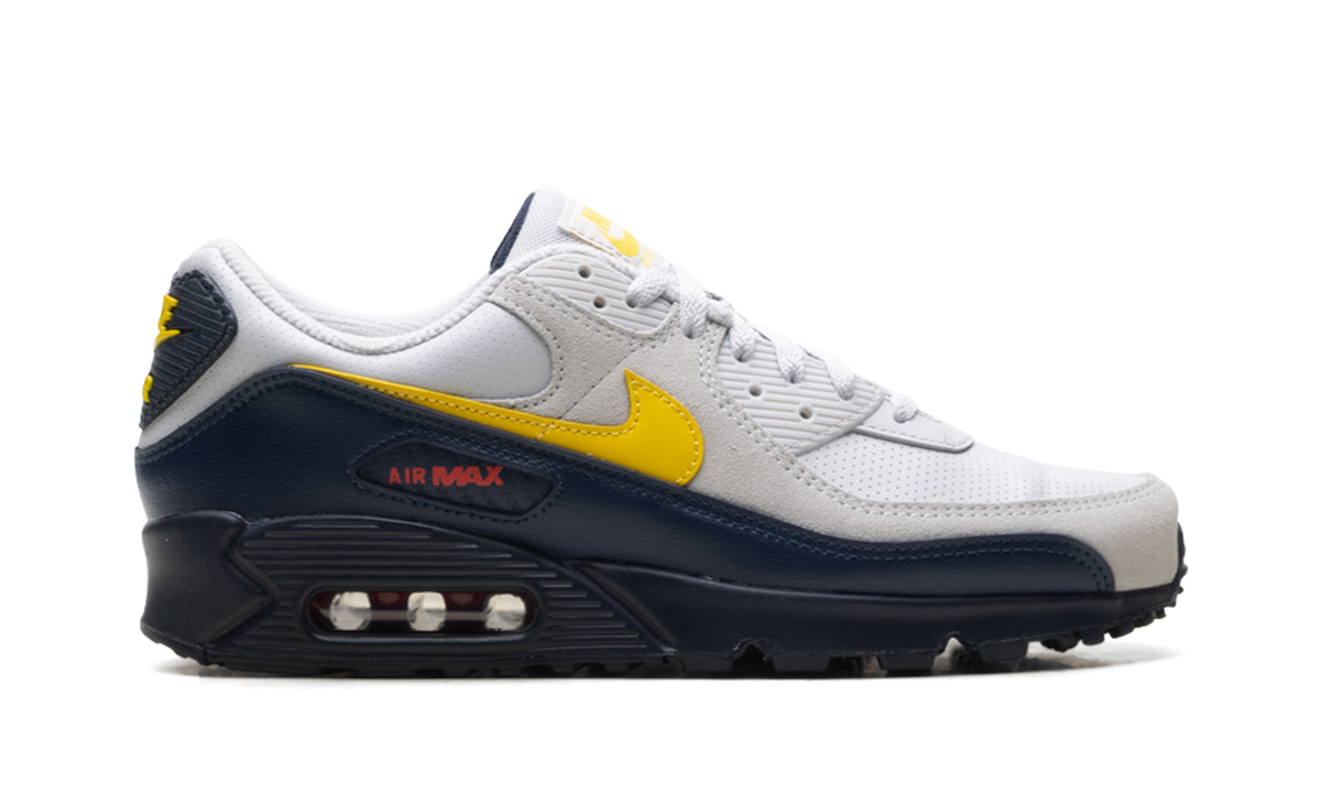 "Neutral Grey Tour Yellow" Air Max 90 IF0670 001 - product image from the listing.
