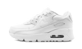 CD6867 100 - Air Max 90 - product photo shown in the listing for this item.