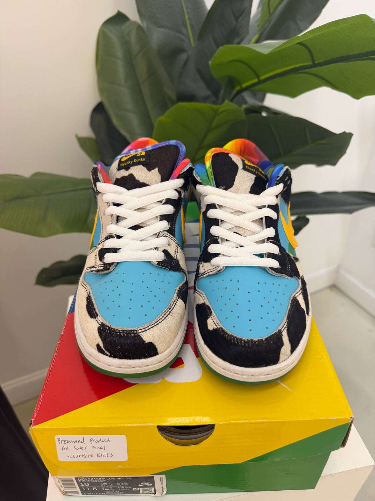 Dunk Low - Chunky Dunky SB - product image from the listing.