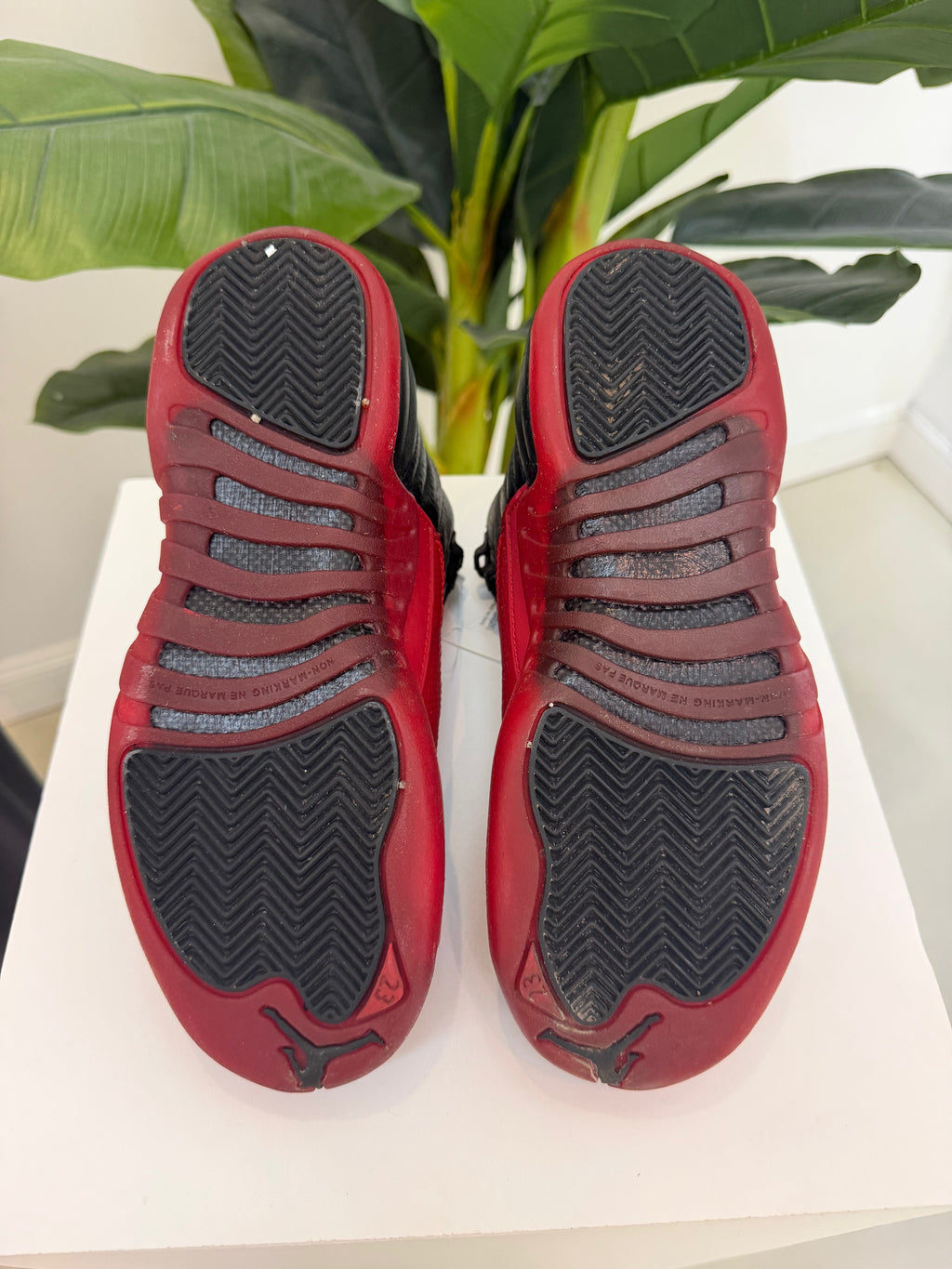 Flu Game Jordan 12 (2025) - product photo shown in the listing for this item.