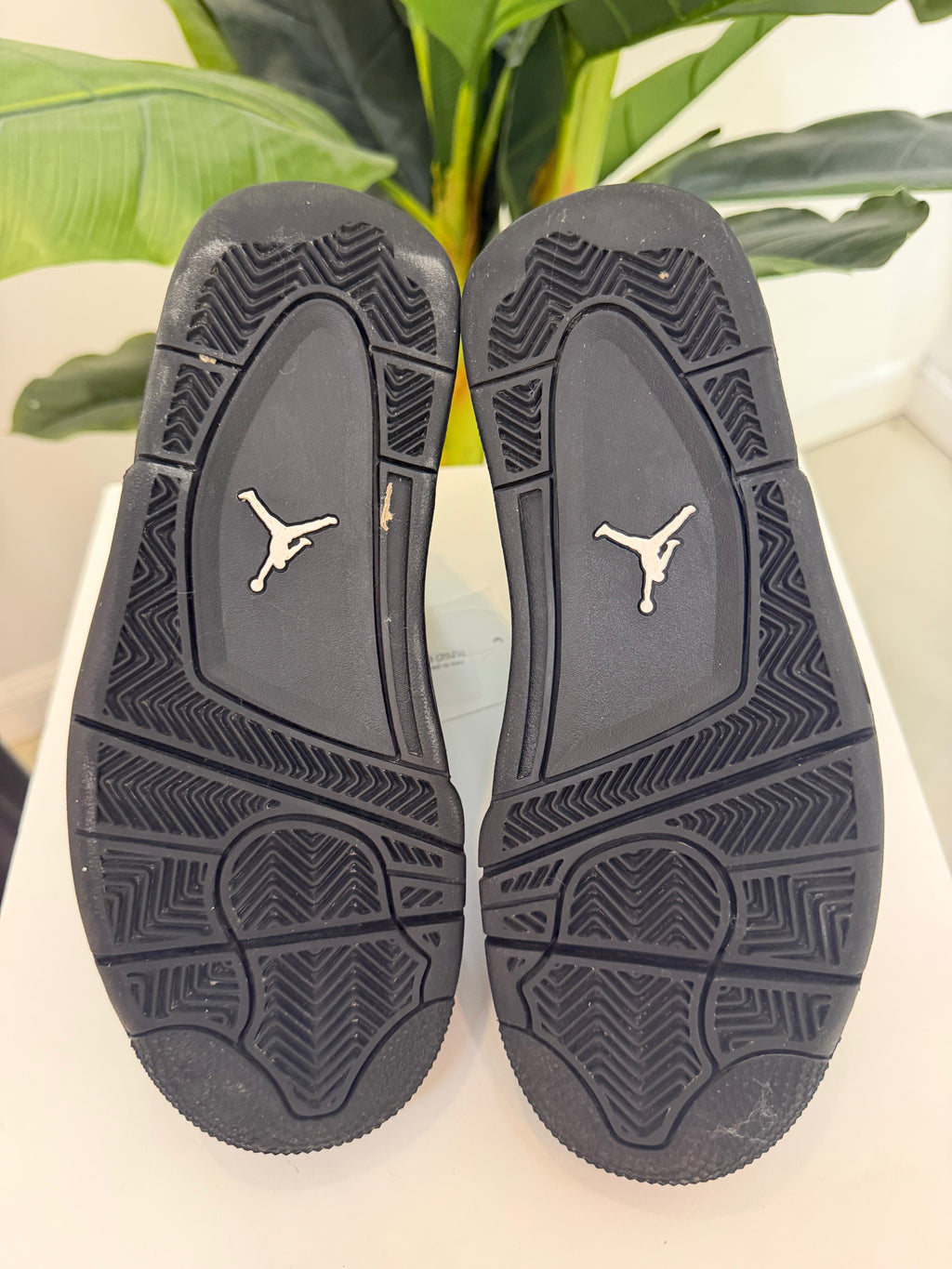 Black Cat Jordan 4 (2025) - product photo shown in the listing for this item.