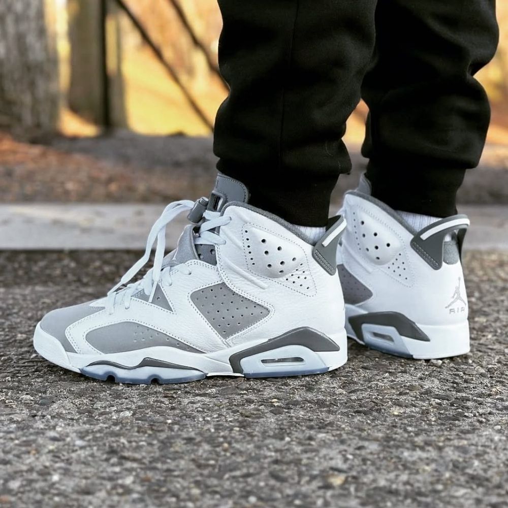 Air Jordan 6 Retro in Cool Grey - product image from the listing.