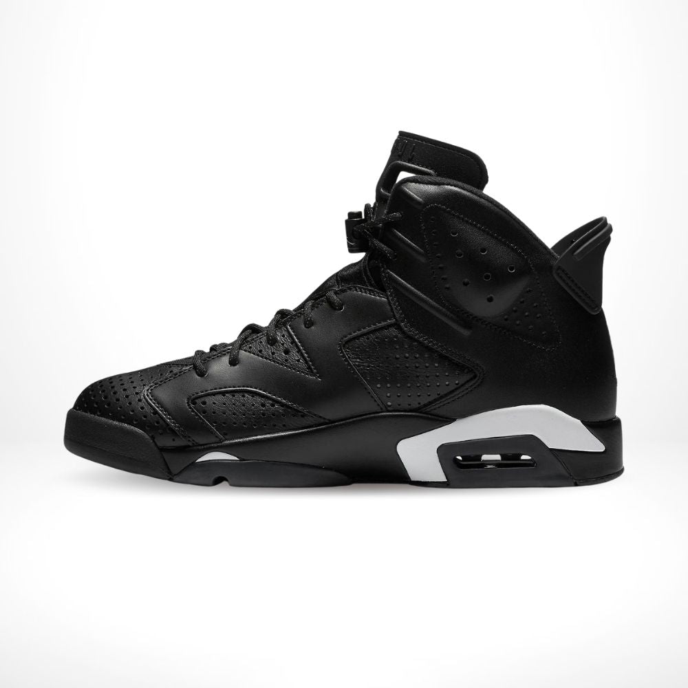 Black Cat - Air Jordan 6 Retro - product image from the listing.