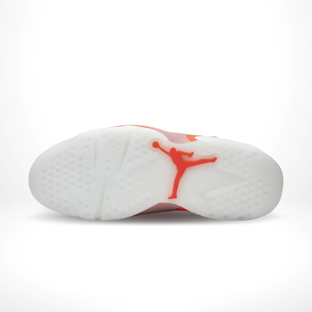X Aleali May Rust Pink Bright Crimson - Air Jordan 6 Retro - product image from the listing.