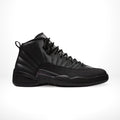 Air Jordan 12 Retro Winterized Triple in Black - product image from the listing.