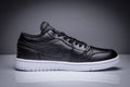 Air Jordan 1 Low Black and White Sneakers - product image from the listing.