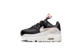 "Off Noir Metallic Pewter" Air Max 90 Leather SE TD DJ0416 001 - product image from the listing.
