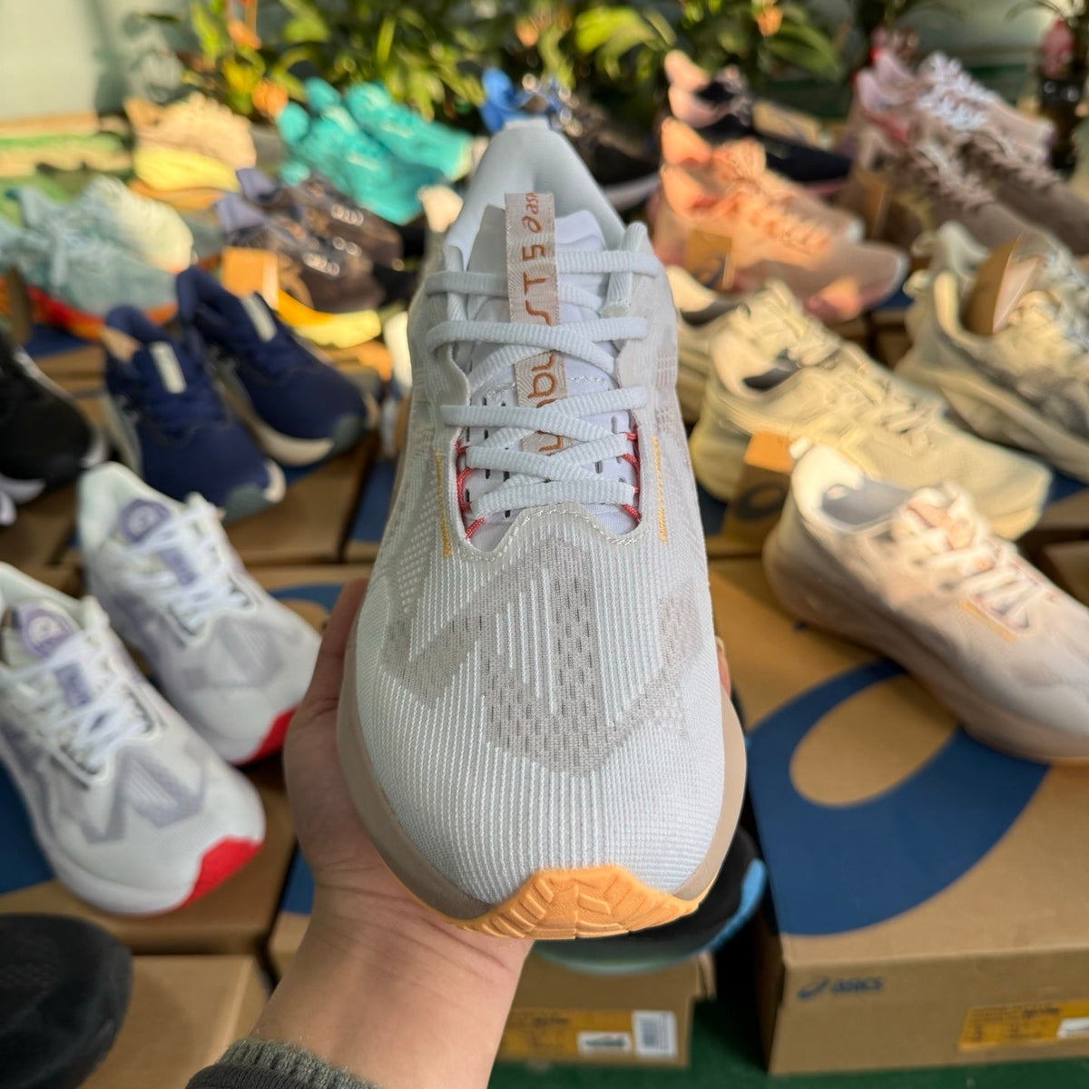 ASICS NOVABLAST 5 LE Running Shoes in White Pink Purple - product image from the listing.