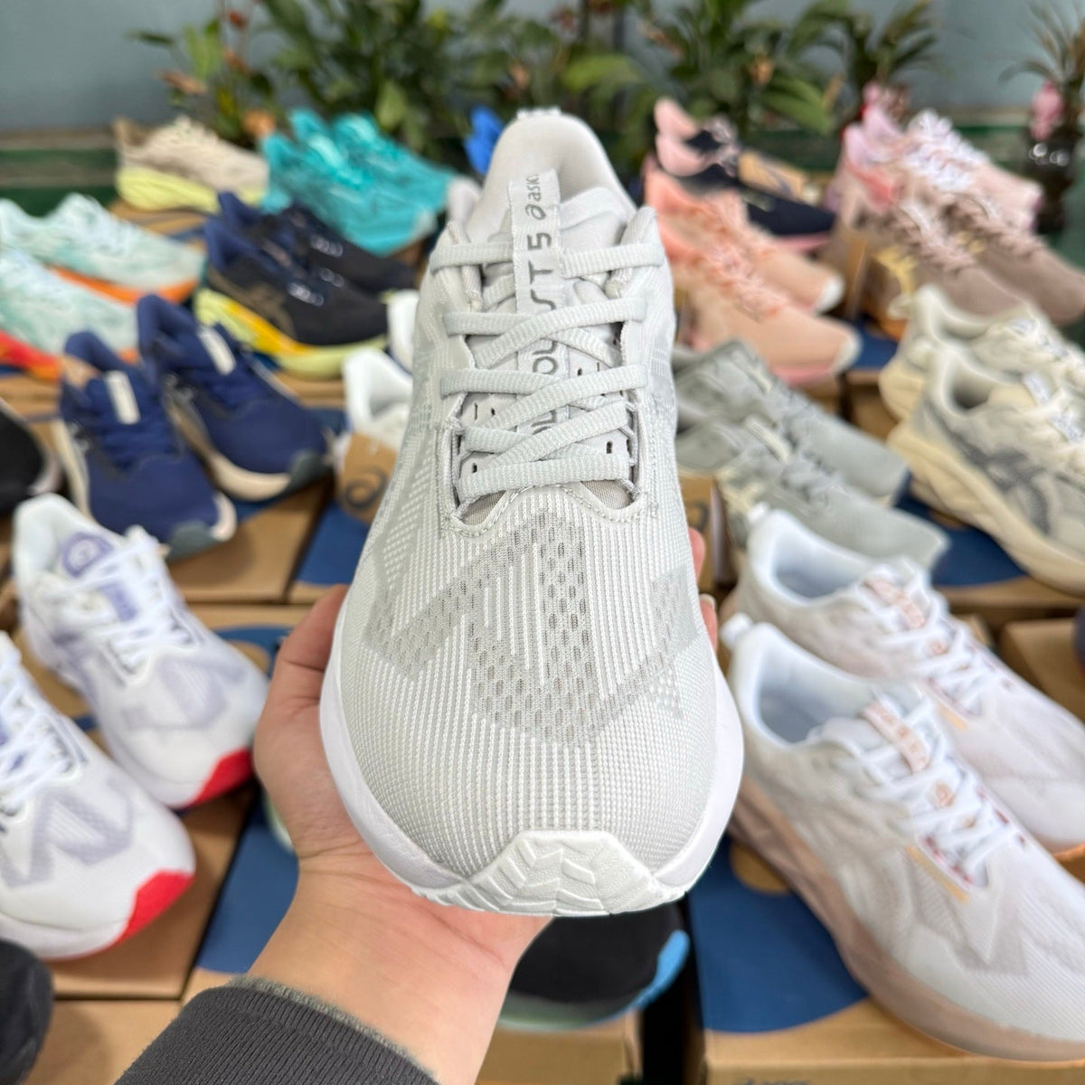 ASICS NOVABLAST 5 LE Running Shoes in White - product image from the listing.