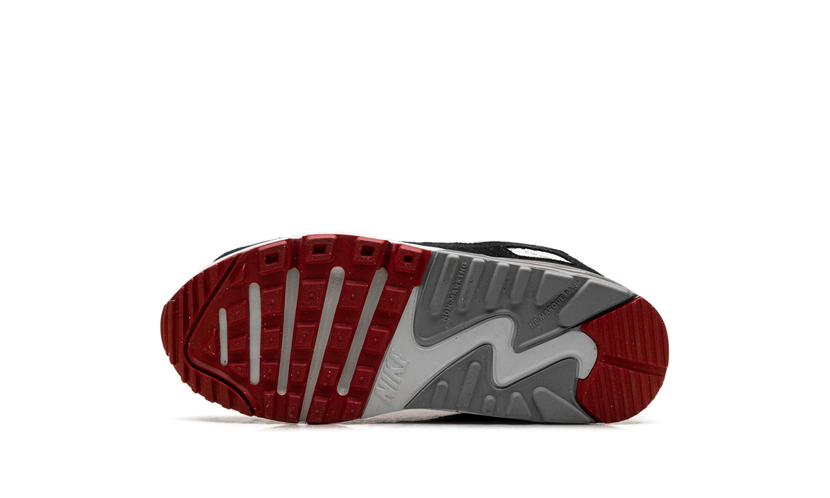 "Photon Dust Grey" Air Max 90 PS CD6867 019 - product image from the listing.