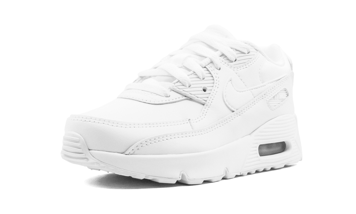 CD6867 100 - Air Max 90 - product photo shown in the listing for this item.