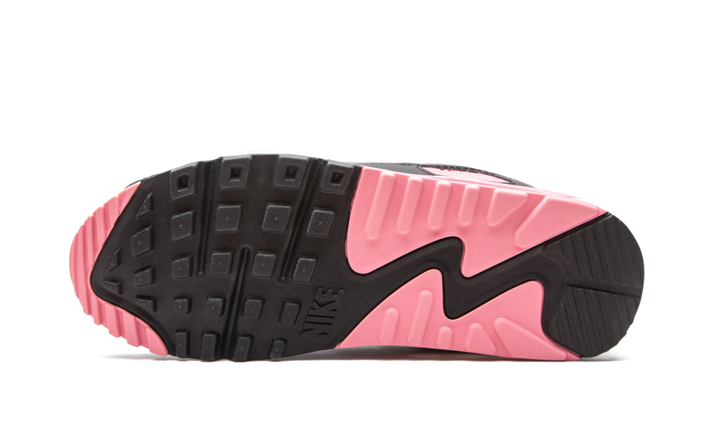 "Rose" Air Max 90 W CD0490 102 - product image from the listing.