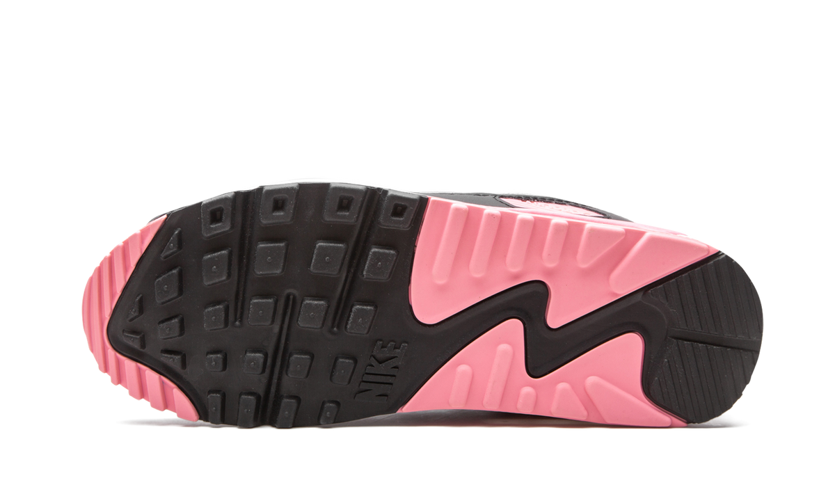 "Rose" Air Max 90 W CD0490 102 - product image from the listing.