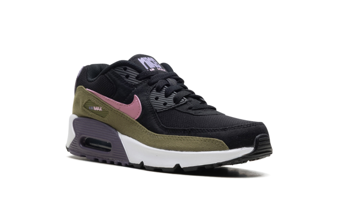 "Purple" AIR MAX 90 DX3091-001 - product image from the listing.