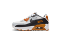 "PURE PLATINUM" Air Max 90 LTR PS CD6867 023 - product image from the listing.