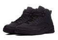Jordan 12 Retro Winterized Triple in Black - product image from the listing.