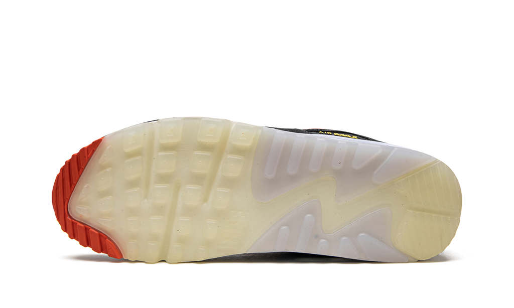 "Set To Rise" Air Max 90 DV2116 700 - product image from the listing.
