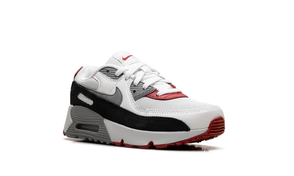 "Photon Dust Grey" Air Max 90 PS CD6867 019 - product image from the listing.