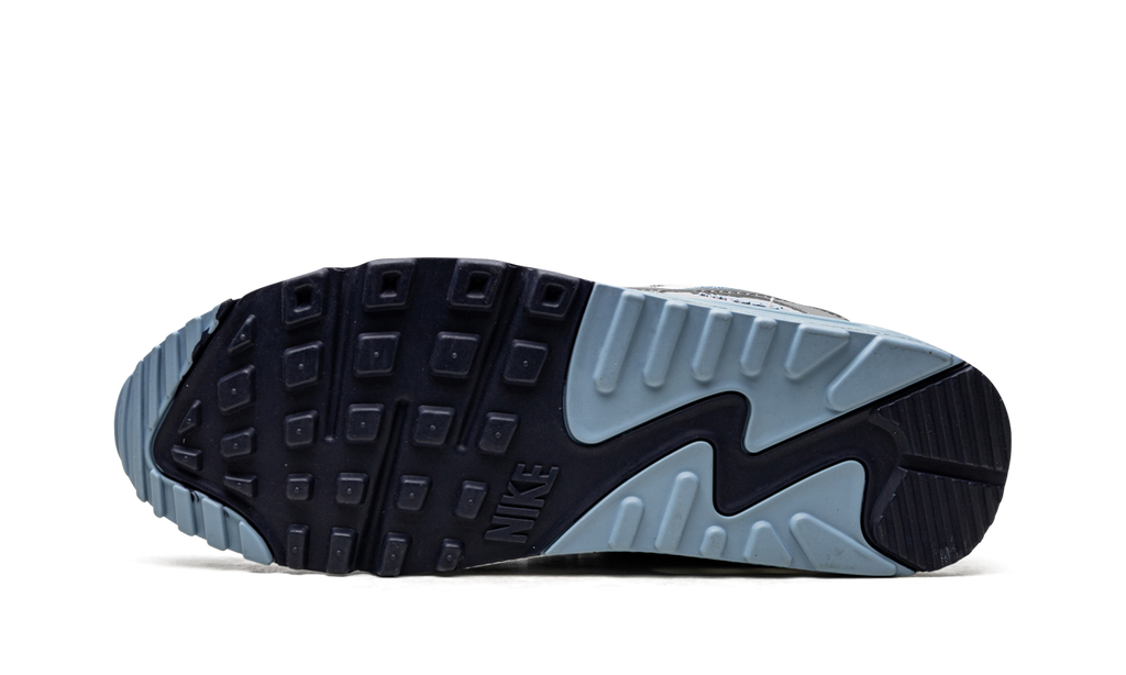"Pure Platinum Warm Blue" Air Max 90 DM0029 003 - product image from the listing.