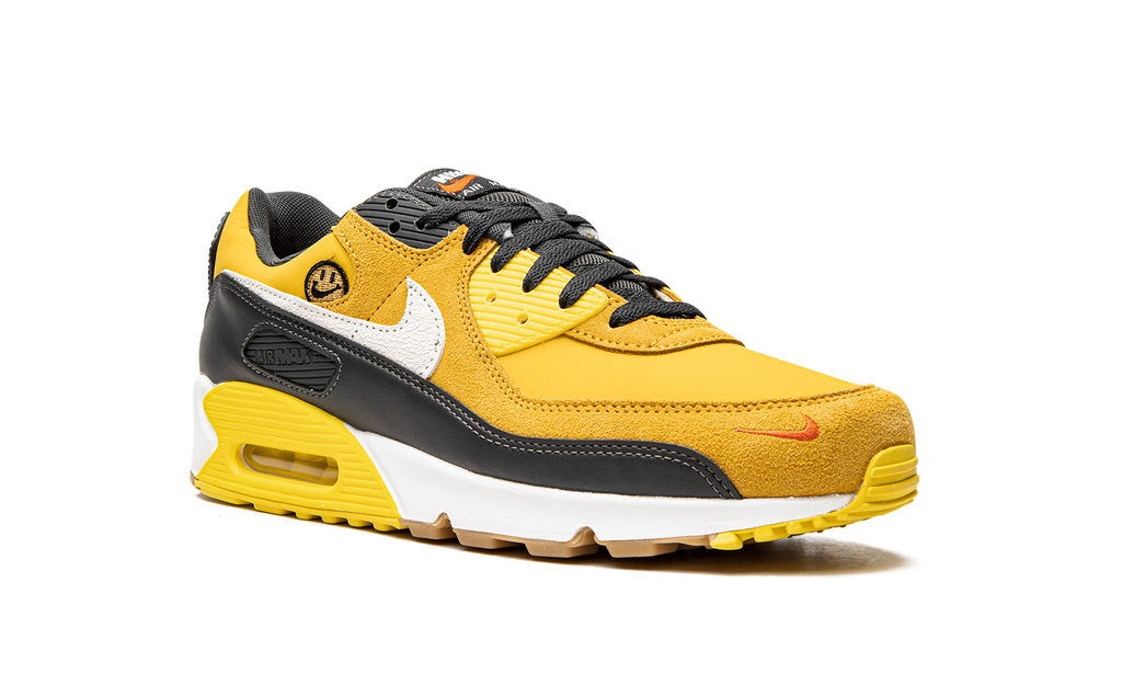 "Go The Extra Smile" Air Max 90 DO5848 700 - product image from the listing.