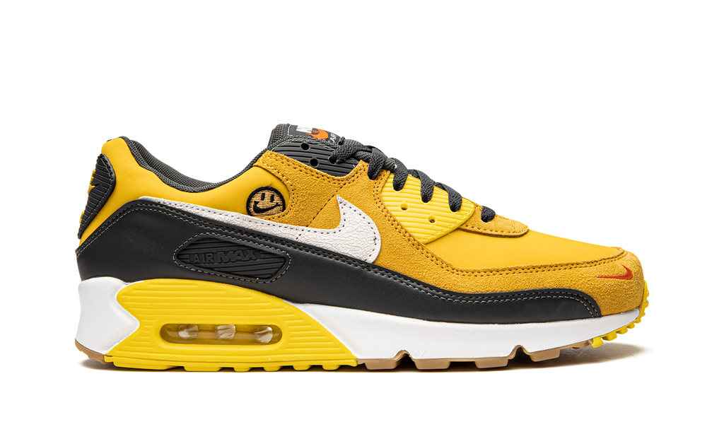 "Go The Extra Smile" Air Max 90 DO5848 700 - product image from the listing.
