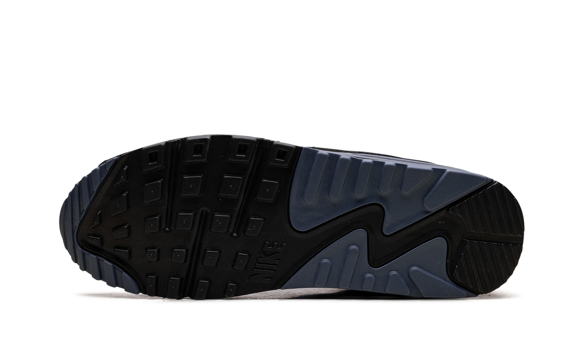 "Smoke Grey Diffused Blue" Air Max 90 IB6392 001 - product image from the listing.