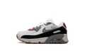 "Photon Dust Grey" Air Max 90 PS CD6867 019 - product image from the listing.
