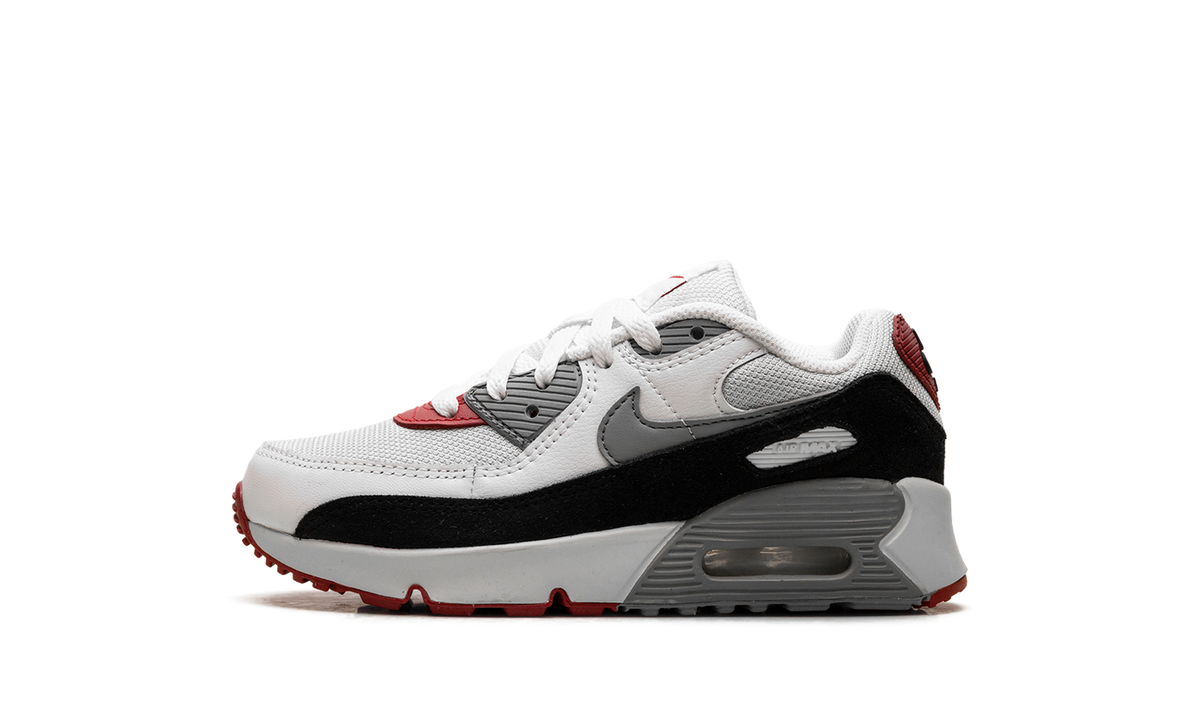 "Photon Dust Grey" Air Max 90 PS CD6867 019 - product image from the listing.