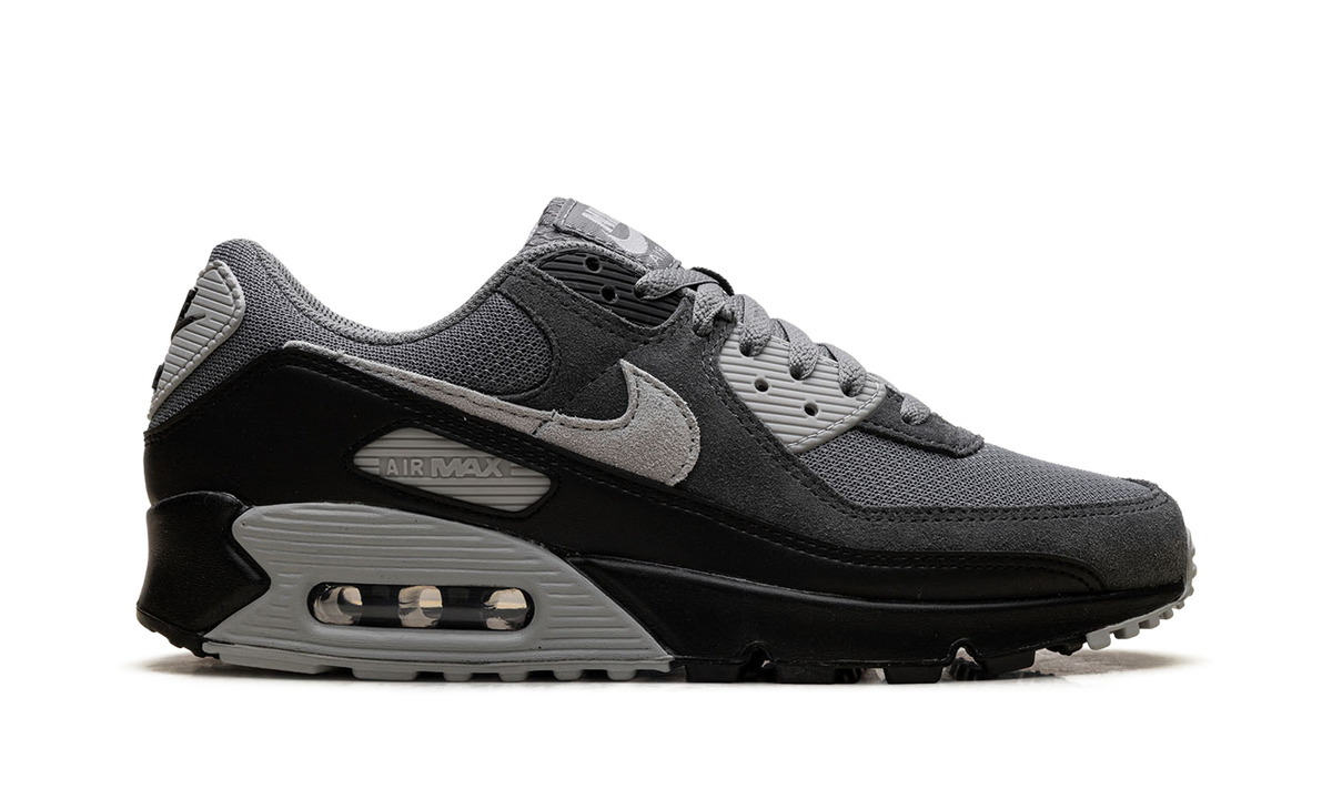 "Smoke Grey / Black" Air Max 90 DM0029 020 - product image from the listing.