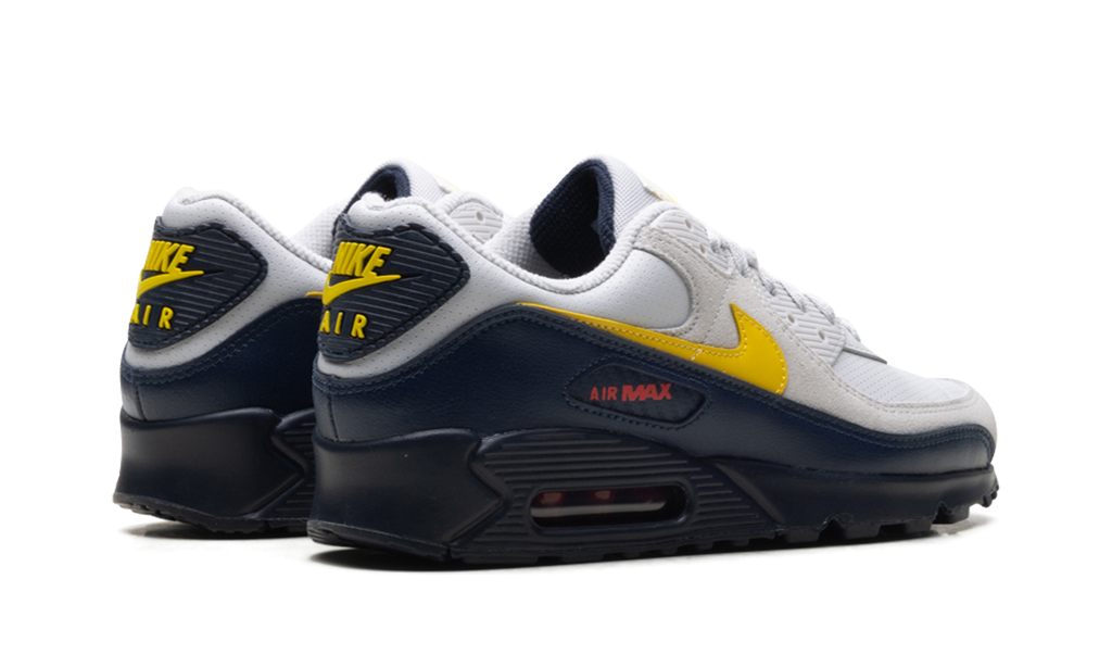"Neutral Grey Tour Yellow" Air Max 90 IF0670 001 - product image from the listing.
