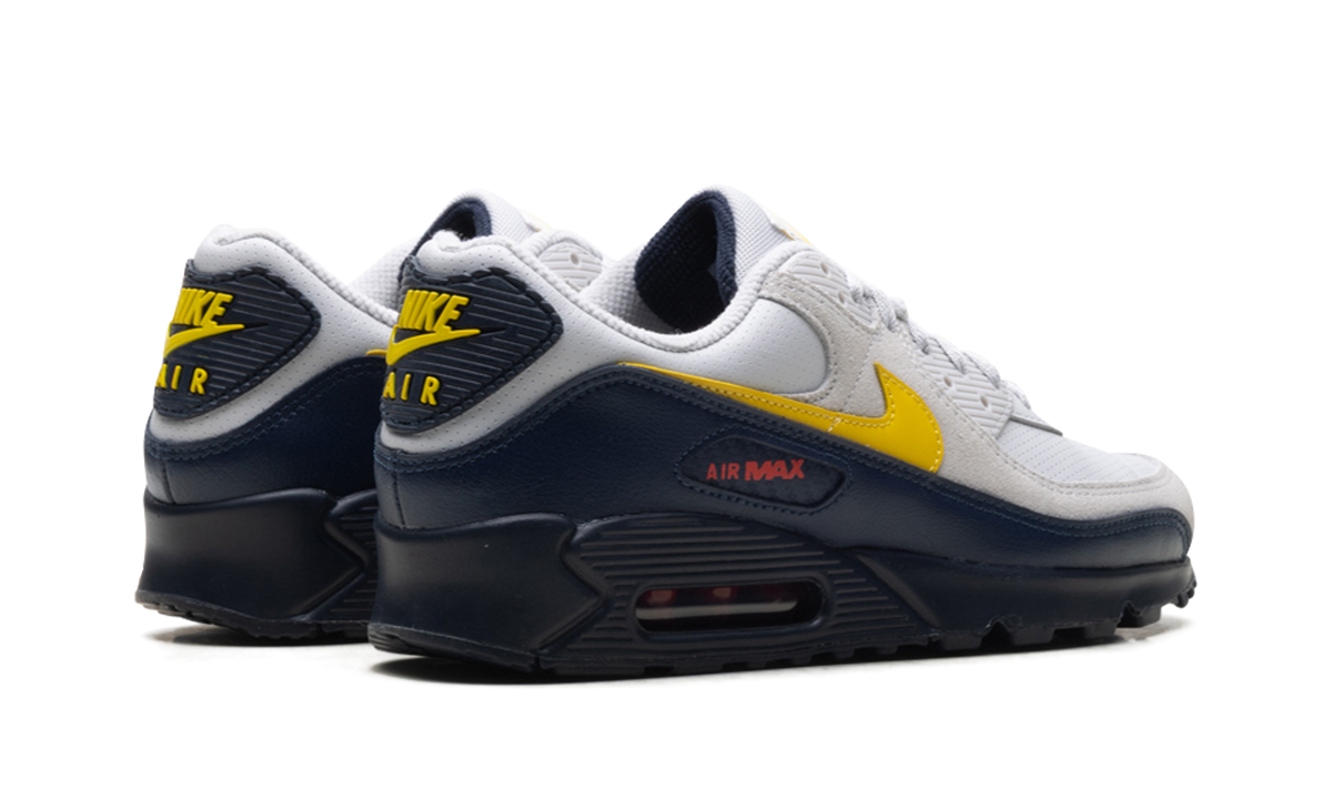 "Neutral Grey Tour Yellow" Air Max 90 IF0670 001 - product image from the listing.