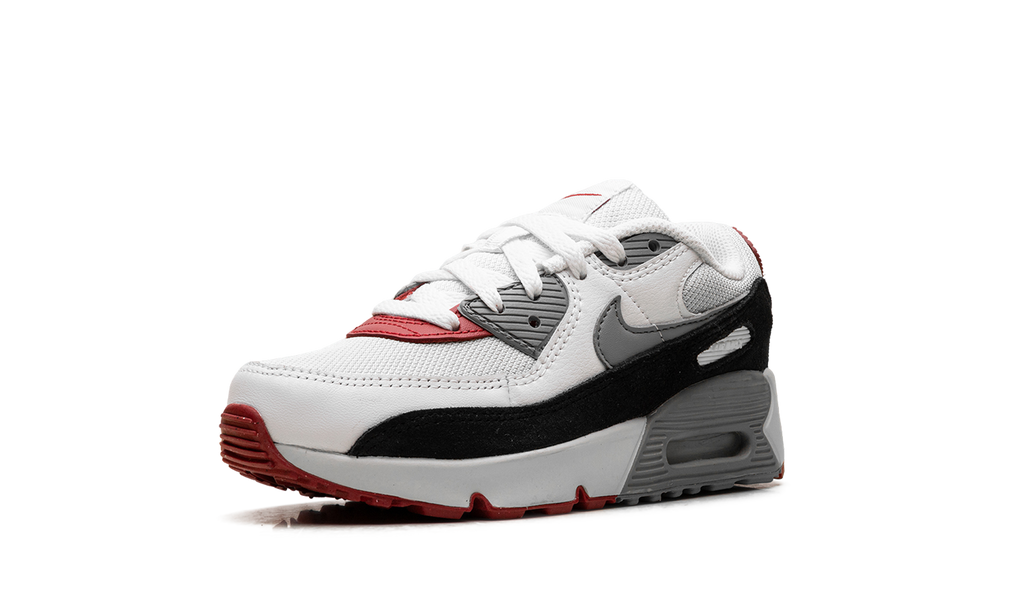 "Photon Dust Grey" Air Max 90 PS CD6867 019 - product image from the listing.