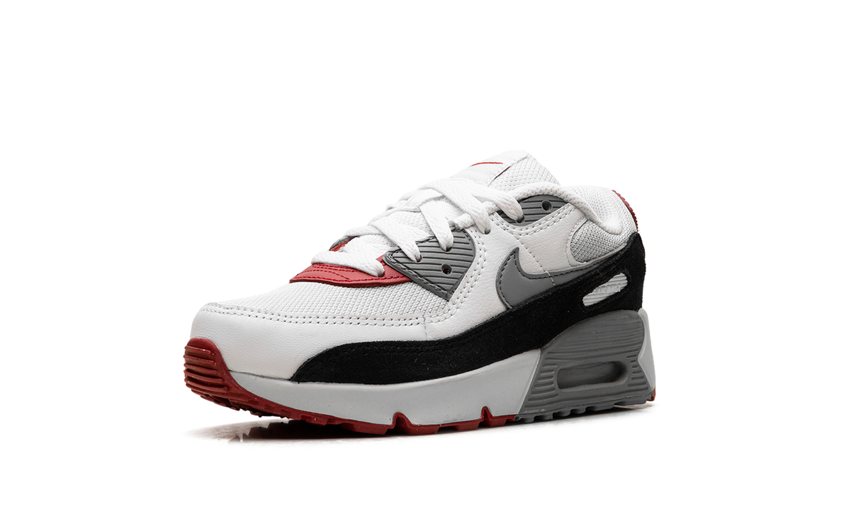 "Photon Dust Grey" Air Max 90 PS CD6867 019 - product image from the listing.