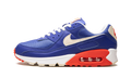 DM8316 400 - Air Max 90 - product photo shown in the listing for this item.