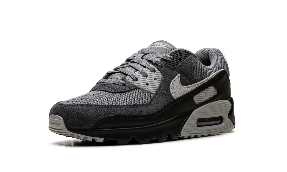 "Smoke Grey / Black" Air Max 90 DM0029 020 - product image from the listing.