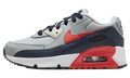 "Light Smoke Bright Crimson" Air Max 90 Leather PS CD6867 021 - product image from the listing.