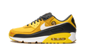 "Go The Extra Smile" Air Max 90 DO5848 700 - product image from the listing.